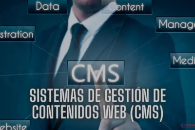 WEB CMS