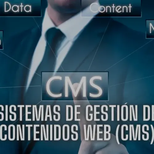 WEB CMS