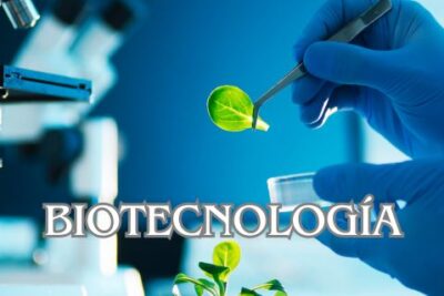 Biotecnología